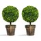 24" Green Artificial Boxwood Topiary Tree PVC Plastic Indoor Outdoor